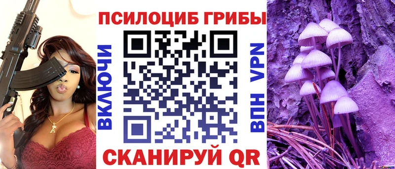 Купить где  Курильск  Галлюциногенные грибы Psilocybe 